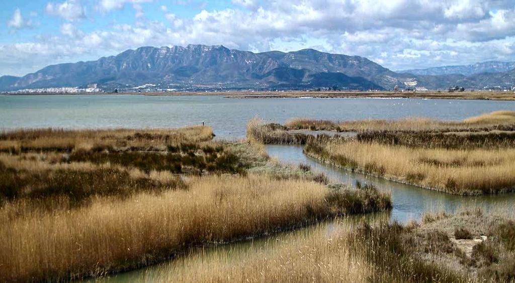 Mi Apartamento En El Delta Del Ebro Далтебра Екстер'єр фото