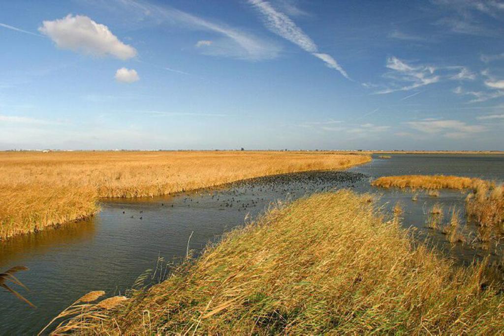 Mi Apartamento En El Delta Del Ebro Далтебра Екстер'єр фото