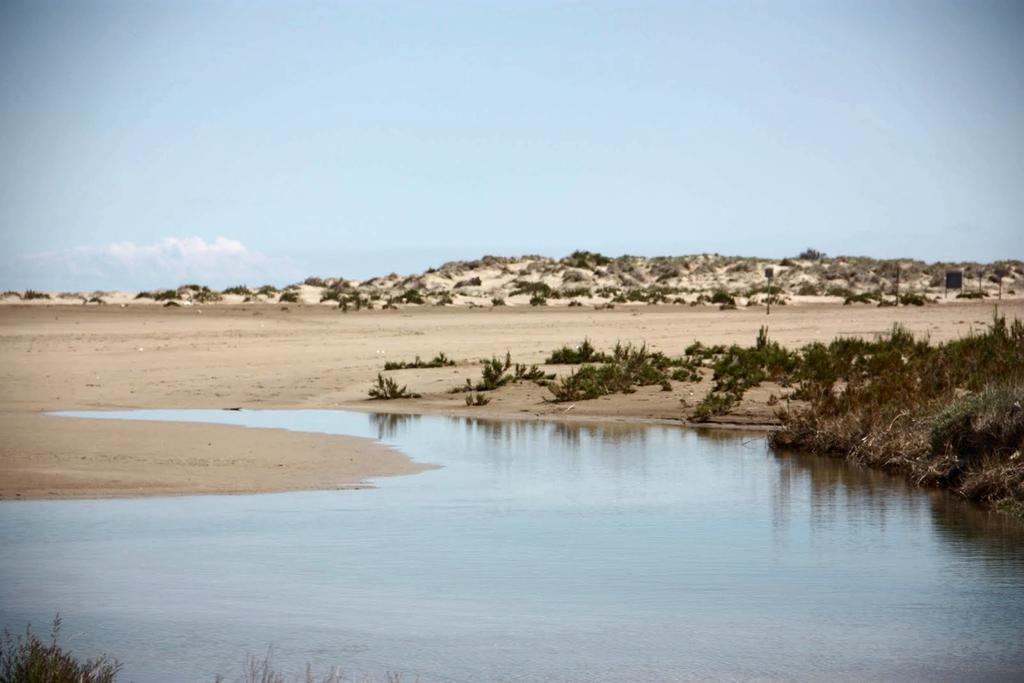 Mi Apartamento En El Delta Del Ebro Далтебра Екстер'єр фото