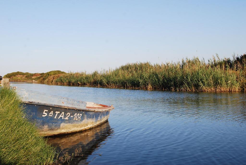 Mi Apartamento En El Delta Del Ebro Далтебра Екстер'єр фото