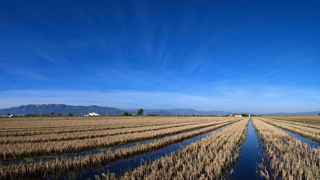 Mi Apartamento En El Delta Del Ebro Далтебра Екстер'єр фото