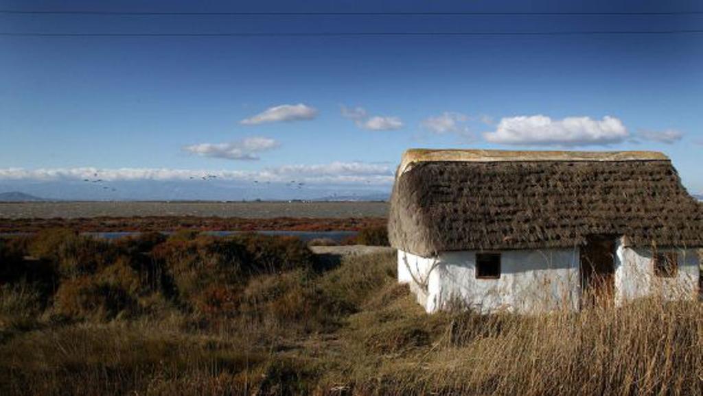 Mi Apartamento En El Delta Del Ebro Далтебра Екстер'єр фото