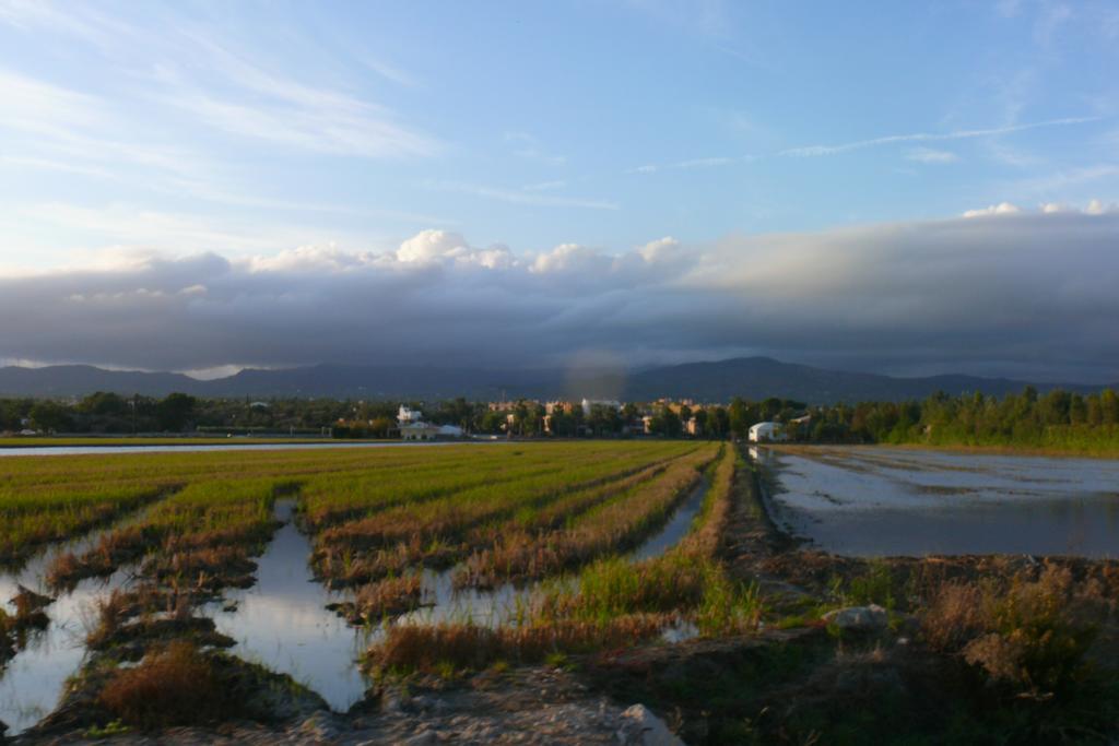Mi Apartamento En El Delta Del Ebro Далтебра Екстер'єр фото